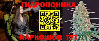 apvp Анжеро-Судженск
