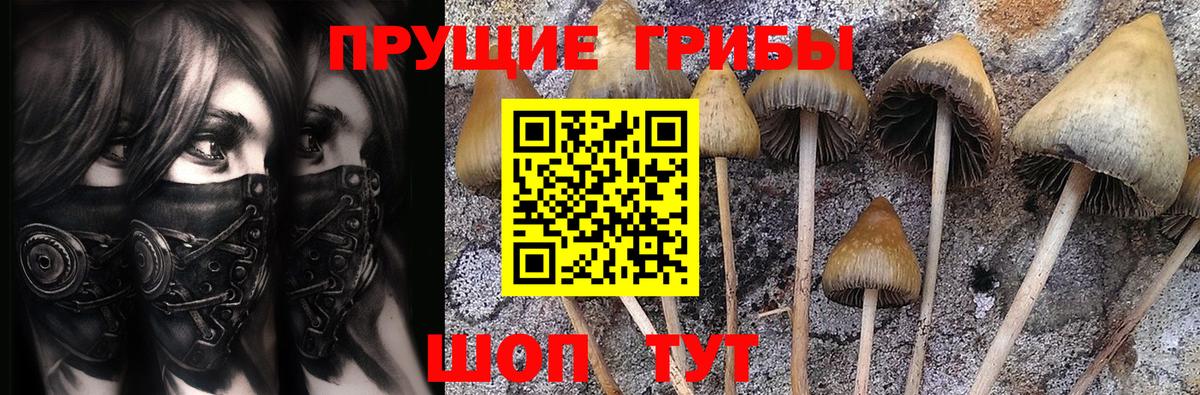 Псилоцибиновые грибы Magic Shrooms  Вход с VPN  купить наркотики цена  Псилоцибиновые грибы GOLDEN TEACHER  Кубинка 